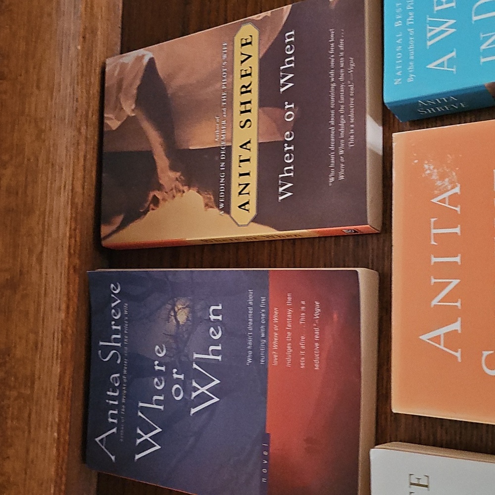 Anita Shreve Book Collection - Picture 2 of 3